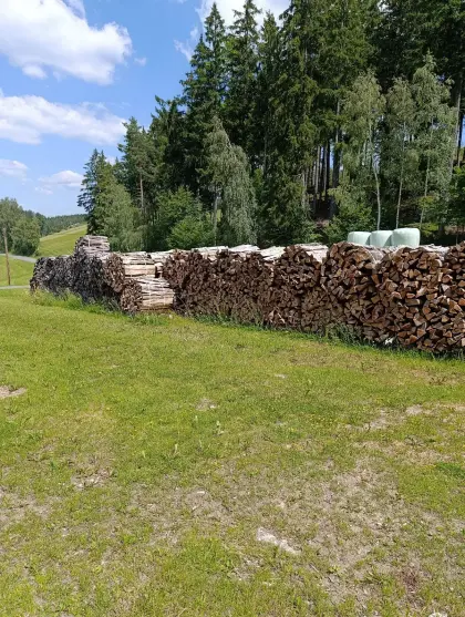 Brennholz