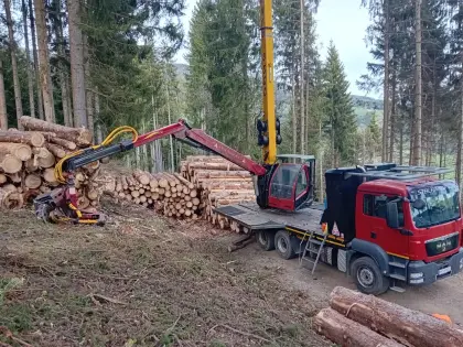 Mounty 3.000 mit Woody H60