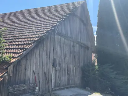Altholz
