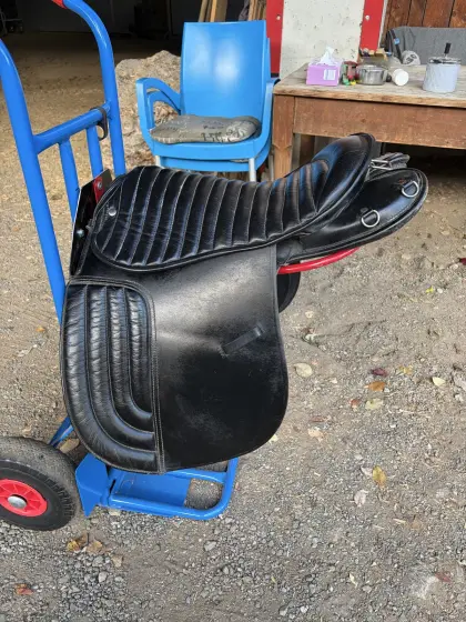 Kaltblutsattel