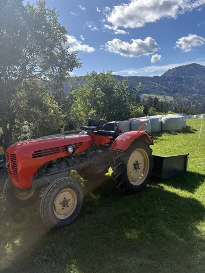 Steyr 188