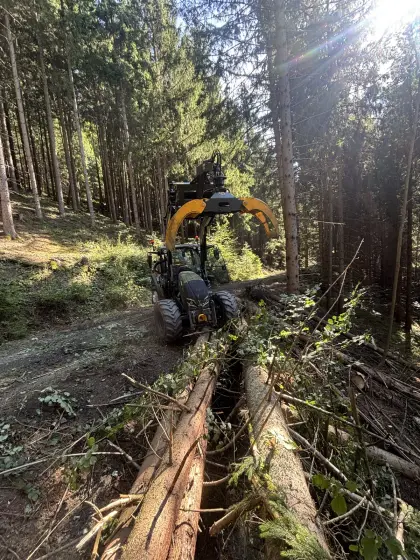 Forstarbeiten
