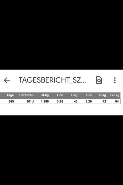 Zuchtböcke und weibliche Kitze
