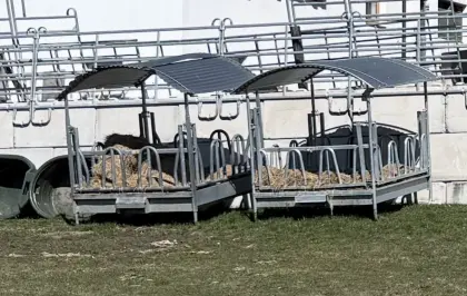 2 Kälberiglus und 2 Futterraufen, gebraucht