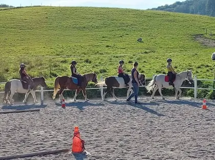 Verkaufe Ponys aus Kinderreitschule