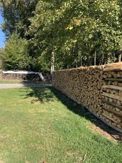 Brennholz Fichte, Buche