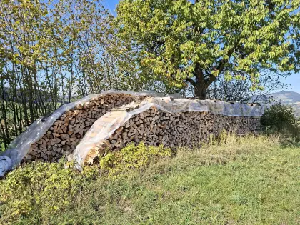 Brennholz Buche