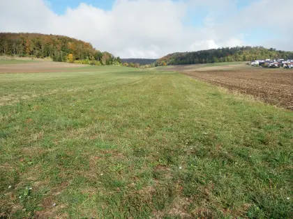 Wiese 3.176 m² zu verkaufen