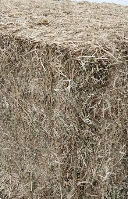 Heu-Quaderballen 600 kg