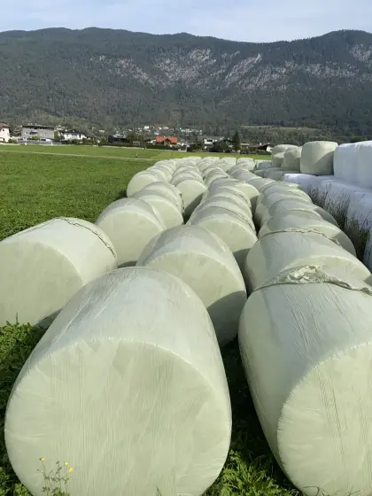 Maissilageballen