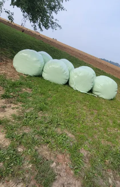Silageballen