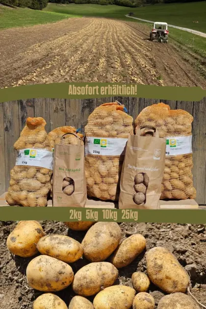 Bio Erdäpfel