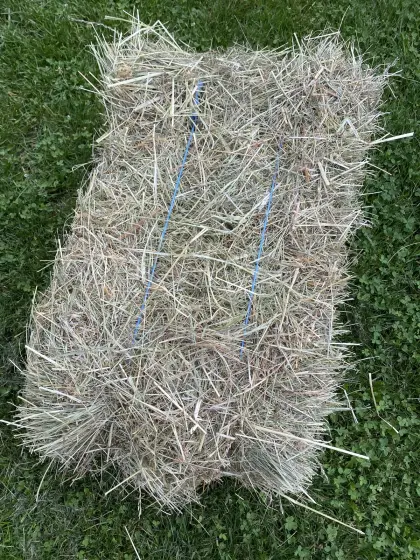 Heu Kleinballen