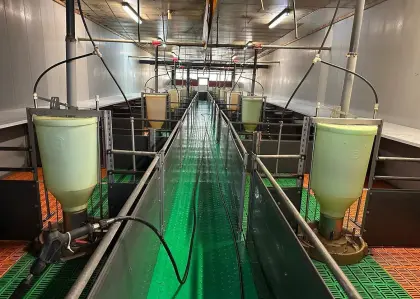 Stallreinigung