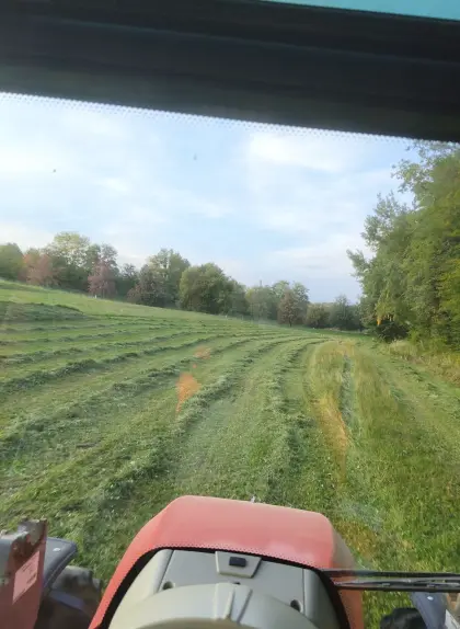 Grassilageballen