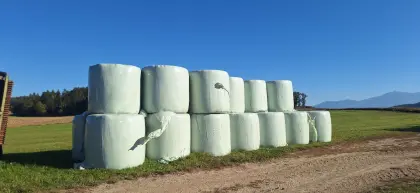 Silageballen, 3. Schnitt