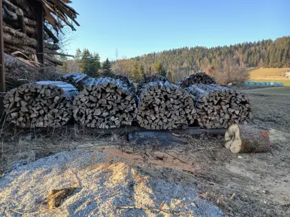 Buchen-Brennholz