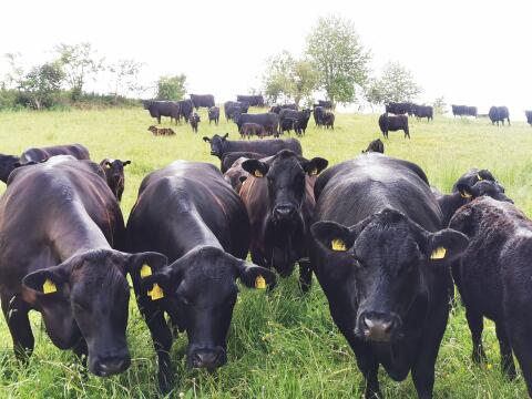 Landwirtschaftliche/r Mitarbeiter/in gesucht