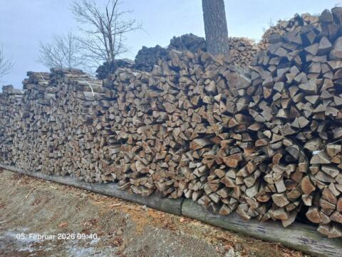 Brennholz