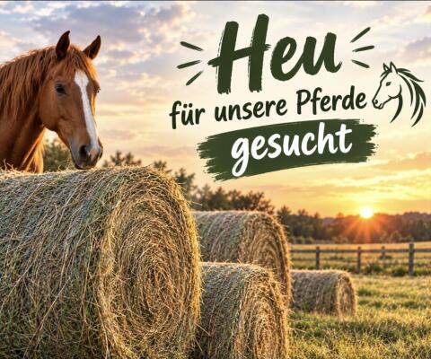 Heu, Stroh, Pferdeheu, Heuballen, Quaderballen, Rundballen