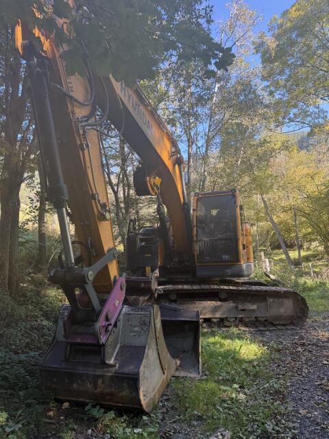 Prozessorbagger mit Woody H61 Hyundai HX 235