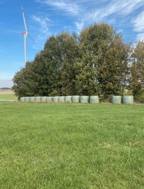 Silo-, Silageballen 2025