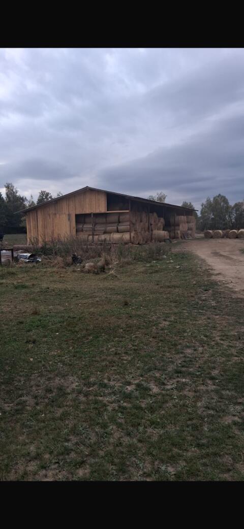 Heu, Silage und Weizenstroh zu verkaufen, Lieferung möglich