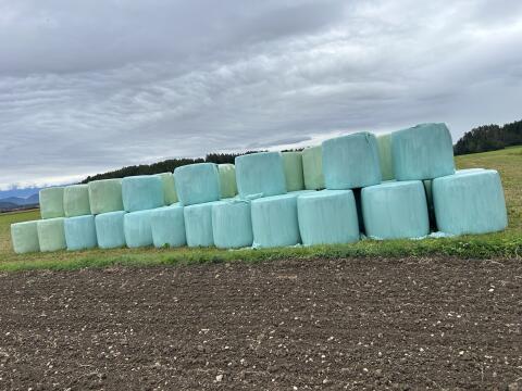 Silageballen
