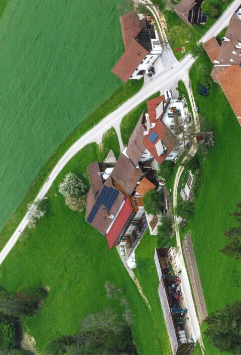 Kreiselegge