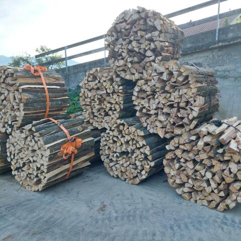 Buchenholz
