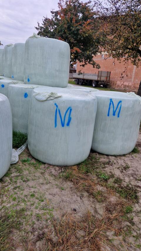 Maisballen