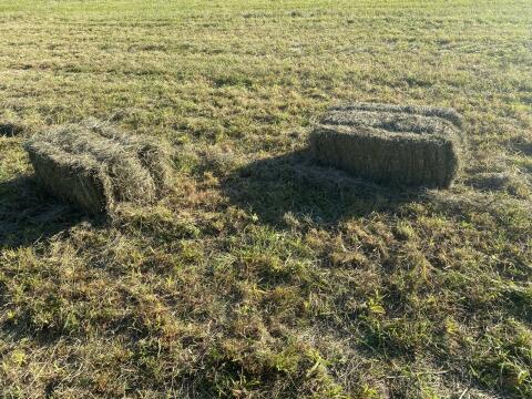 Heu in Kleinballen