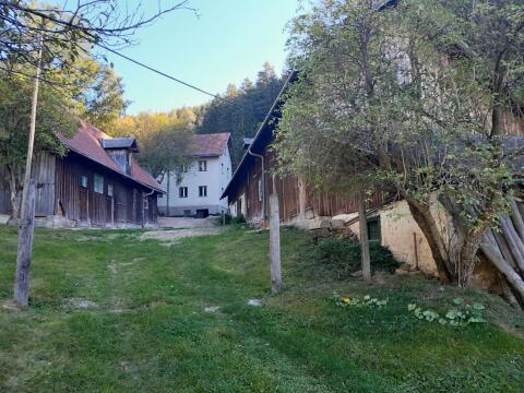 Bauernhof in ruhiger Einzellage zu vermieten