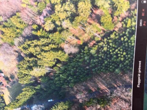 Mischwald 7.084 m² zu verkaufen