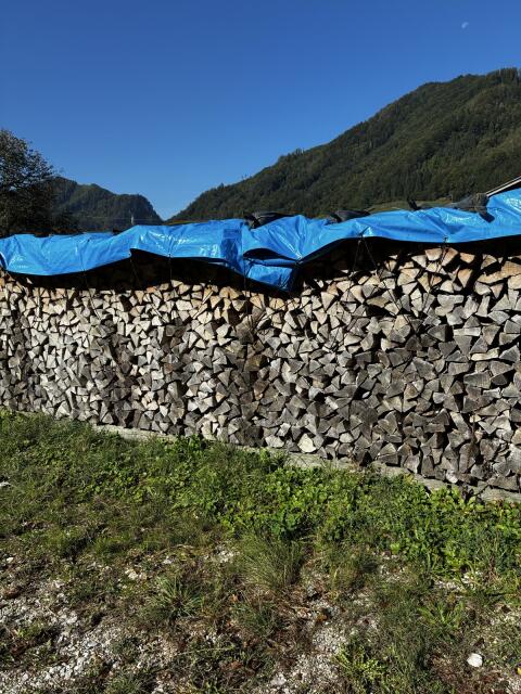 Hartholz gemischt zu verkaufen