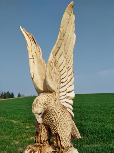 Adler