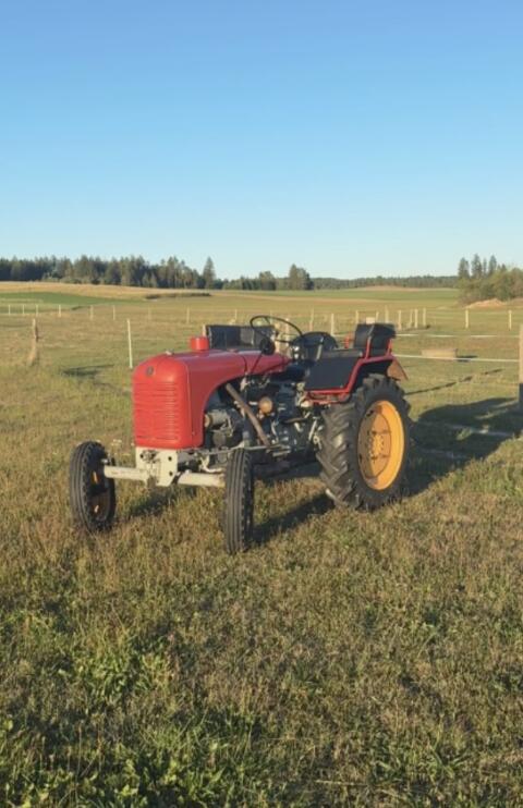 Steyr T84