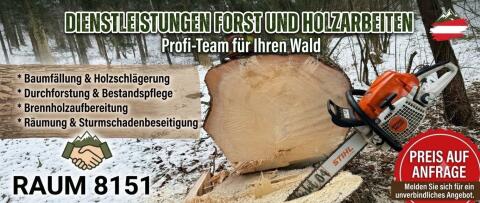 Holzschlägerung aller Art