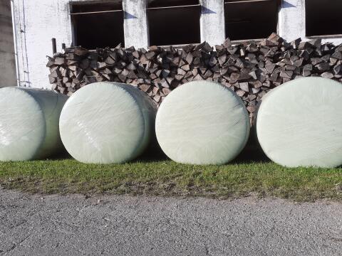 Silomaisballen