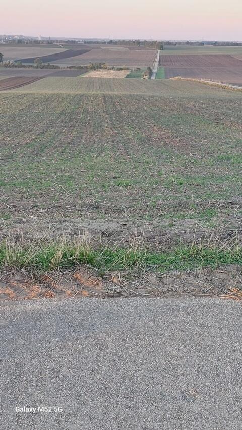 Landwirtschaftliche Liegenschaft