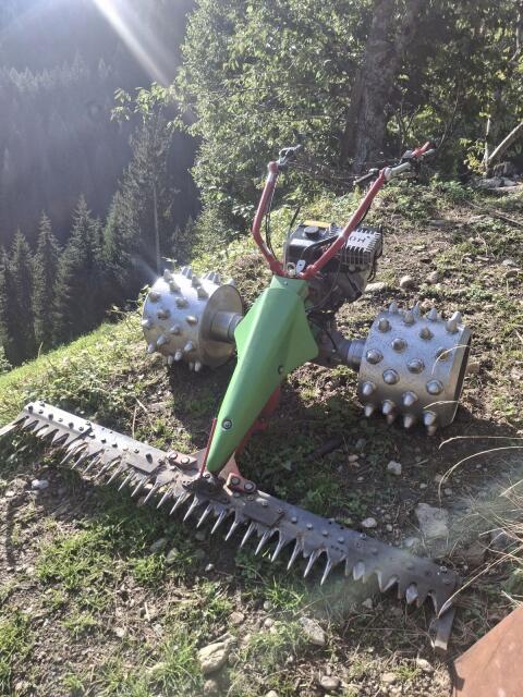 Rapid Rex