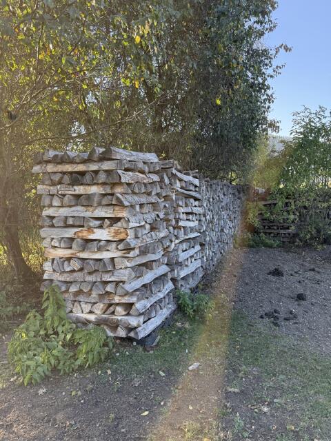 Brennholz Buche