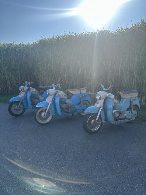 Puch DS 50