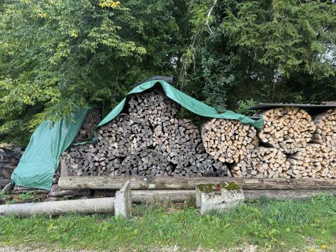 Brennholz
