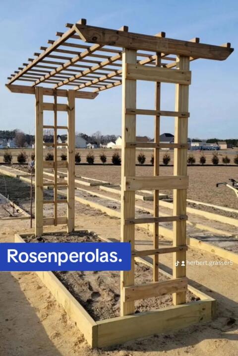 Rosenpergolas mit Sandkasten