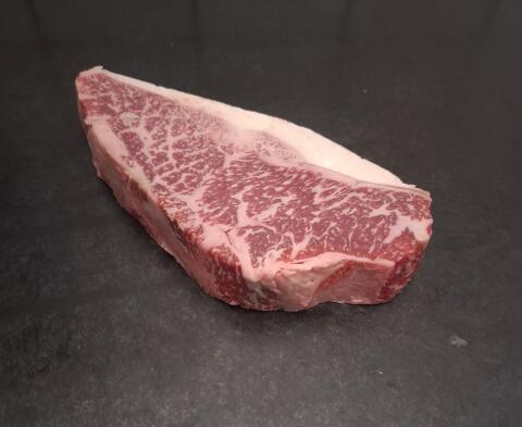 Reinrassige Wagyu-Ochsen