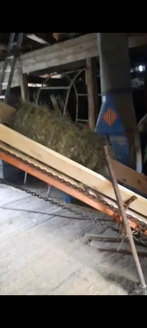 Förderband