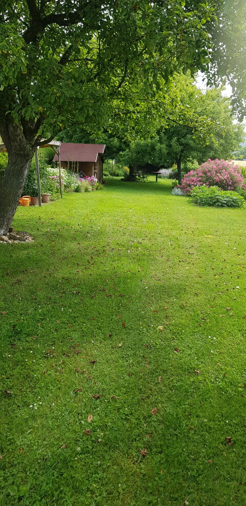 Verpachte wunderschönes Gartengrundstück Nähe Schärding/Inn