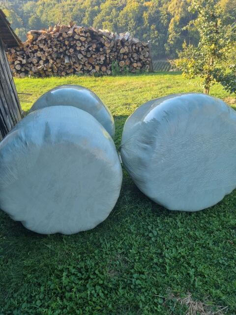 Grassilage-Ballen