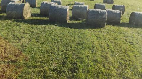 Silageballen, Ernte 3. Schnitt 2026